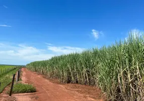 Foto 1 de Fazenda/Sítio com 10 Quartos à venda, 175m² em Setor Central, Gouvelândia