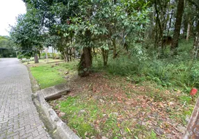 Foto 1 de Lote/Terreno à venda, 745m² em Pinheiro Grosso, Canela