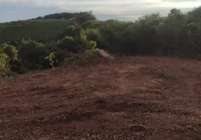 Foto 1 de Fazenda/Sítio com 1 Quarto à venda, 159236m² em Centro, Espírito Santo do Pinhal