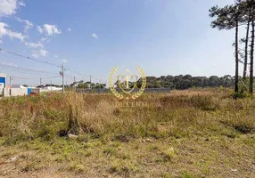 Foto 1 de Lote/Terreno à venda, 360m² em Rio Pequeno, São José dos Pinhais