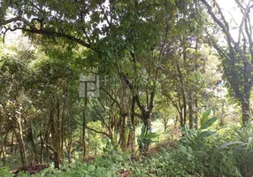 Foto 1 de Lote/Terreno à venda, 4700m² em Jardim Santo Antônio, Arujá