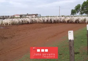 Foto 1 de Fazenda/Sítio à venda, 850m² em , Sandolândia