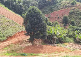 Foto 1 de Fazenda/Sítio à venda, 30000m² em Centro, Marechal Floriano