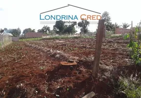 Foto 1 de Lote/Terreno à venda, 1000m² em Zona Rural, Guaravera