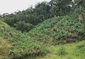 Foto 1 de Fazenda/Sítio com 3 Quartos à venda, 2000m² em Area Rural de Itajai, Itajaí