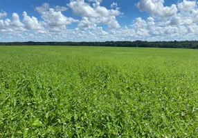 Foto 1 de Fazenda/Sítio com 7 Quartos à venda, 234m² em , Água Boa