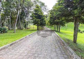 Foto 1 de Fazenda/Sítio com 4 Quartos à venda, 500m² em Borda do Campo, Piraquara