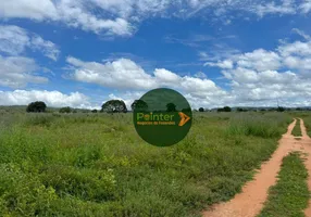Foto 1 de Fazenda/Sítio à venda, 500m² em Zona Rural, Bom Jardim de Goiás