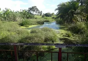 Foto 1 de Fazenda/Sítio à venda, 15000m² em , Vera Cruz