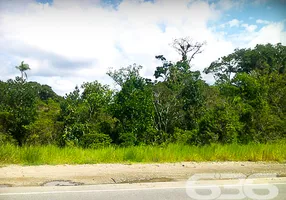 Foto 1 de Fazenda/Sítio à venda, 3100m² em Pinheiros, Balneário Barra do Sul