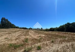 Foto 1 de Fazenda/Sítio à venda, 106480m² em Centro, Contenda