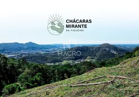 Foto 1 de Lote/Terreno à venda em Ilha da Figueira, Jaraguá do Sul