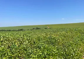 Foto 1 de Fazenda/Sítio com 1 Quarto à venda, 508200m² em Zona Rural, Casa Branca