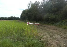 Foto 1 de Fazenda/Sítio à venda, 1100m² em Centro, Limeira