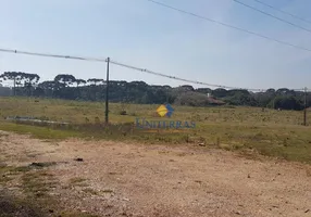 Foto 1 de Lote/Terreno à venda, 114950m² em Roseira, São José dos Pinhais