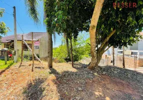 Foto 1 de Lote/Terreno à venda, 350m² em Campestre, São Leopoldo