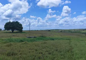 Foto 1 de Fazenda/Sítio com 2 Quartos à venda, 2000m² em , Monte Alegre