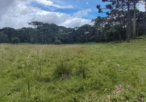 Foto 1 de com 1 Quarto à venda, 560000m² em Zona Rural, São Francisco de Paula