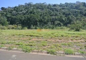 Foto 1 de Lote/Terreno à venda, 1004m² em Centro Arcadas, Amparo