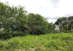 Foto 1 de Fazenda/Sítio à venda, 53000m² em Zona Rural, Areia Branca