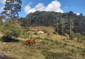 Foto 1 de Fazenda/Sítio com 4 Quartos à venda, 350000m² em Zona Rural, Delfim Moreira