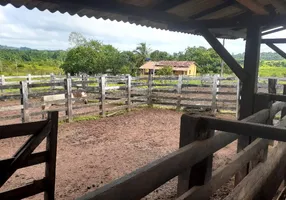 Foto 1 de Fazenda/Sítio com 3 Quartos à venda, 11132000m² em Centro, Breu Branco