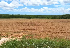 Foto 1 de Fazenda/Sítio com 3 Quartos à venda, 300000m² em Zona Rural, Jandaíra