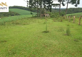 Foto 1 de Fazenda/Sítio com 4 Quartos à venda, 20000m² em Zona Rural, São José dos Pinhais