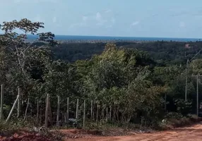 Foto 1 de Fazenda/Sítio com 3 Quartos à venda, 100m² em Imbassai, Mata de São João