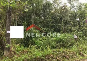 Foto 1 de Lote/Terreno à venda, 2500m² em Jardim Aguapeu, Itanhaém