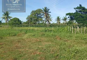 Foto 1 de Fazenda/Sítio com 3 Quartos à venda, 49000m² em Zona Rural, São Gonçalo do Amarante