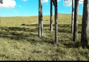 Foto 1 de Fazenda/Sítio à venda, 20000m² em Barreiro Rural, Taubaté