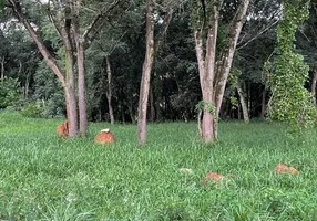 Foto 1 de Lote/Terreno à venda, 1500m² em Bicas Velhas, São Joaquim de Bicas