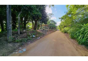 Foto 1 de Lote/Terreno à venda, 9937m² em Borralho, Camaragibe