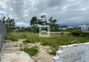 Foto 1 de Lote/Terreno à venda, 800m² em Pinheira, Palhoça