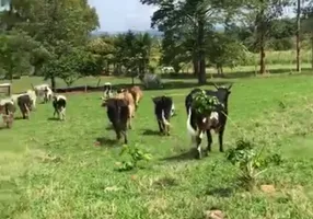 Foto 1 de Fazenda/Sítio à venda em Centro, Uruana de Minas