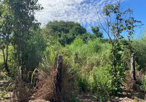 Foto 1 de Fazenda/Sítio à venda, 10000m² em , Aruanã