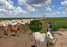 Foto 1 de Fazenda/Sítio à venda, 93992800m² em , Baianópolis