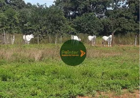 Foto 1 de Fazenda/Sítio à venda, 14568400m² em Zona Rural, Cavalcante