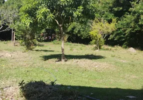 Foto 1 de Fazenda/Sítio com 1 Quarto à venda, 4000m² em Planaltina, Brasília