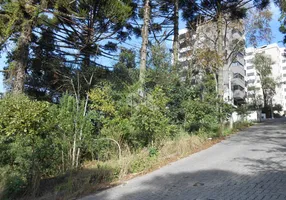 Foto 1 de Lote/Terreno à venda, 411m² em Borgo, Bento Gonçalves