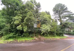 Foto 1 de Lote/Terreno à venda, 1200m² em Santa Terezinha, Canela