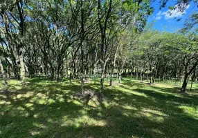 Foto 1 de Lote/Terreno à venda, 10000m² em São Ciro, Caxias do Sul