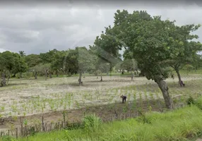 Foto 1 de Fazenda/Sítio com 3 Quartos à venda, 1000000m² em , Beberibe