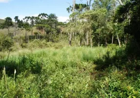 Foto 1 de Lote/Terreno à venda, 1626m² em Vila Abernessia, Campos do Jordão