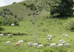 Foto 1 de Fazenda/Sítio com 5 Quartos à venda, 1400m² em , Maragogipe