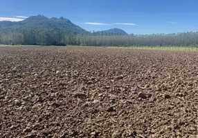 Foto 1 de Fazenda/Sítio com 1 Quarto à venda, 45000m² em , Tijucas