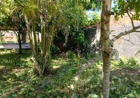 Foto 1 de Lote/Terreno à venda, 528m² em Tapanã, Belém