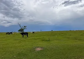 Foto 1 de Fazenda/Sítio com 3 Quartos à venda, 386m² em Centro, Rancharia