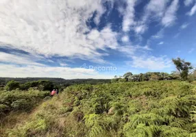 Foto 1 de Fazenda/Sítio à venda, 144000m² em Serra Grande Alema, Gramado